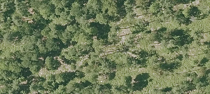 50 Acres Development Opportunity