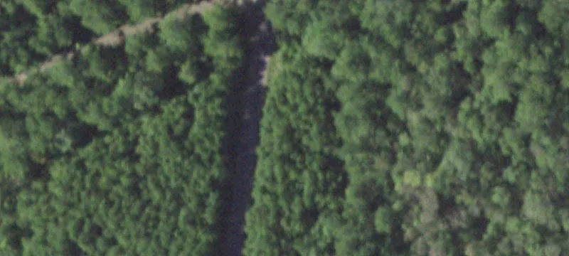 East Texas Land For Sale
