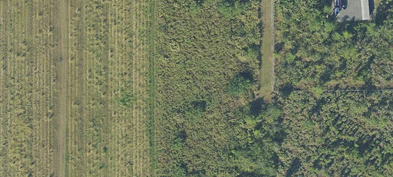 5.2 Acres on Quail Roost