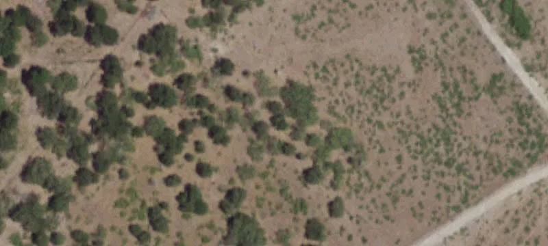 Unrestricted Land Near Bastrop, Texas
