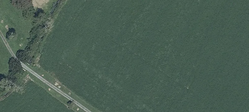 108 Acres Dorchester County Land