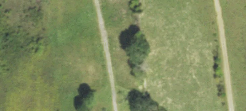 East Texas Land For Sale