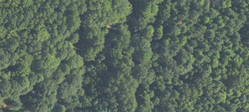 Northern Michigan Wilderness Retreat