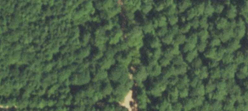 East Texas Wooded Land Tracts