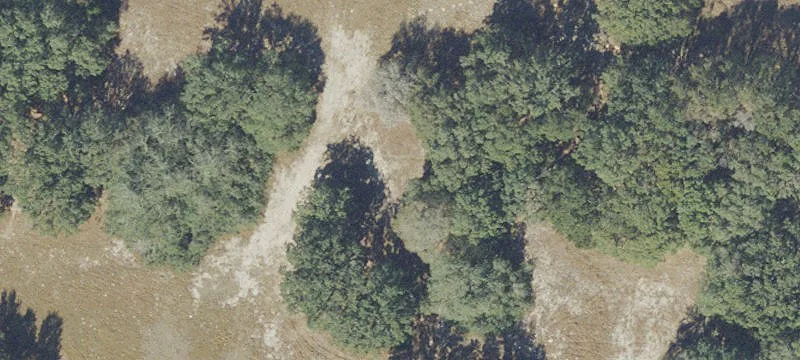 State Road 44 Agricultural Land