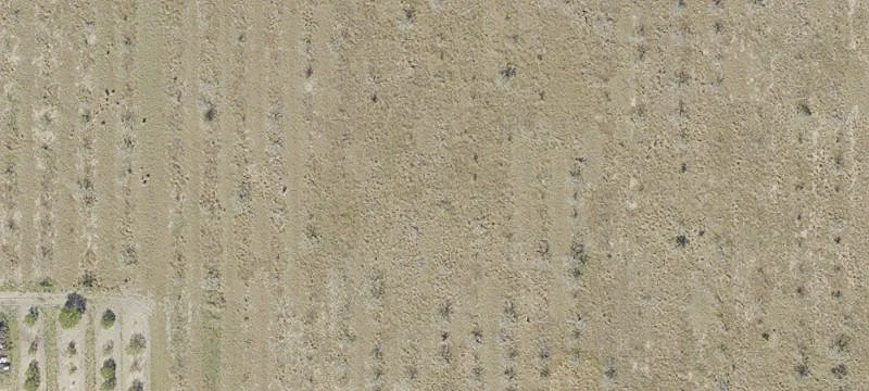 Industrial Compound with Multiple Structures