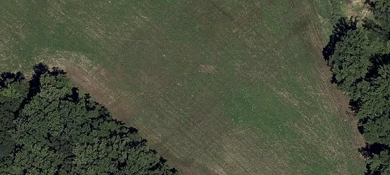 80 Acre Farm Near Blackbird Creek