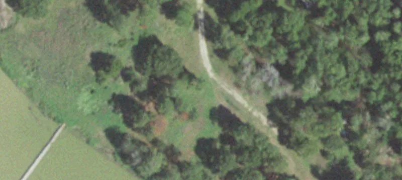 Lake Livingston Waterfront Acreage For Sale