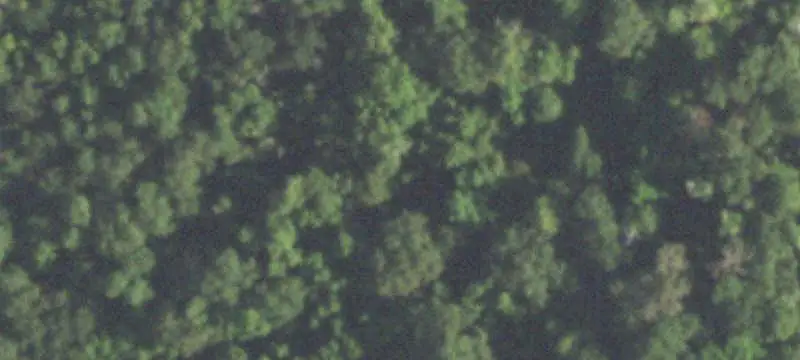 Wooded Acres with Utilities