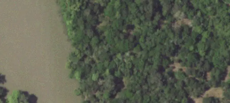 75.24 Acres on US Highway