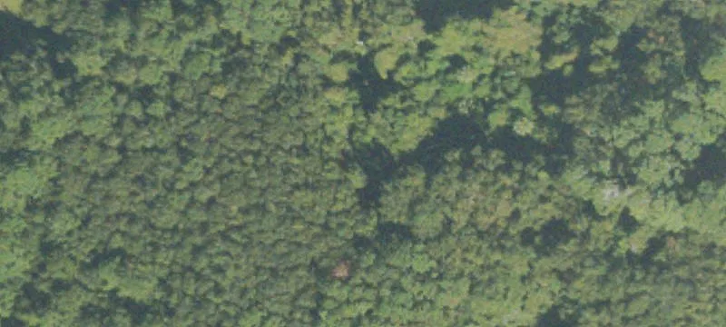 Commercial Land Near I-95