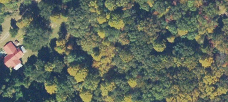 Prime Acreage Near Gainesville