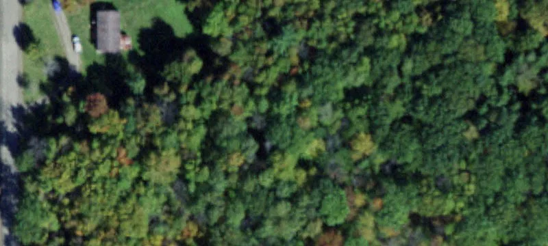 Thurston Land with Stream