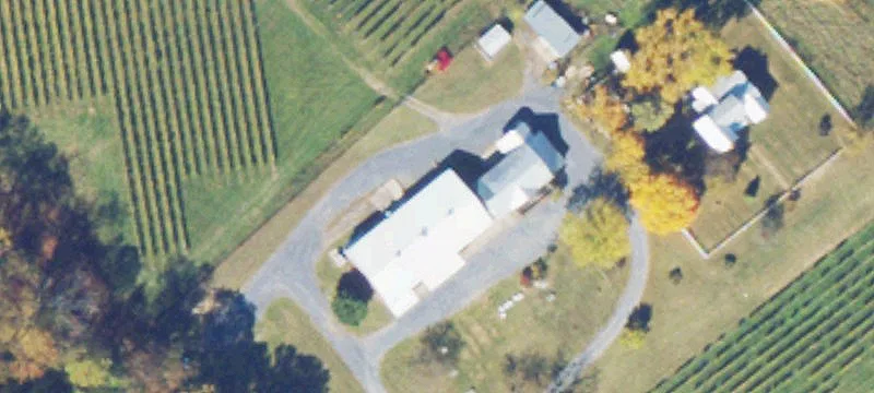 Shenandoah Valley Winery with Vineyard