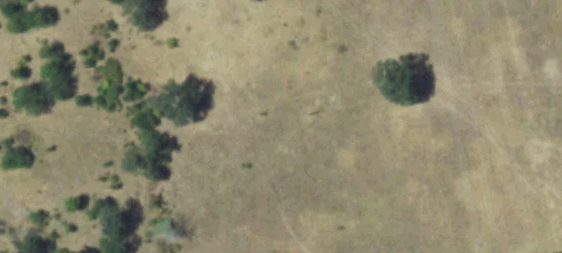 North Zulch Agricultural Property