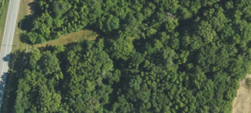 Land Near Monroe Bypass