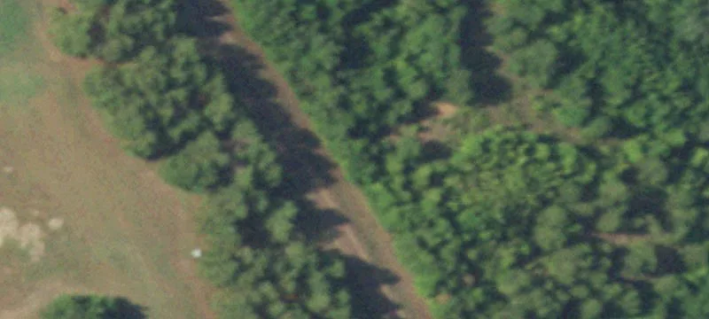 52+ Acres of Rolling Hills