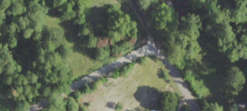 Managed Timberland Tract For Sale
