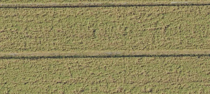 Prime Land Near Cargo Airport