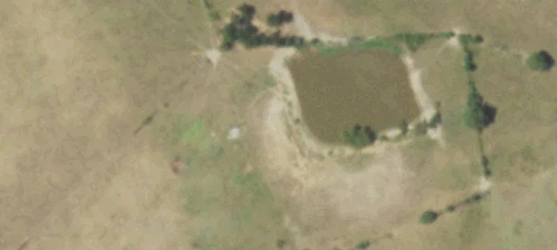 Farm with Mature Trees