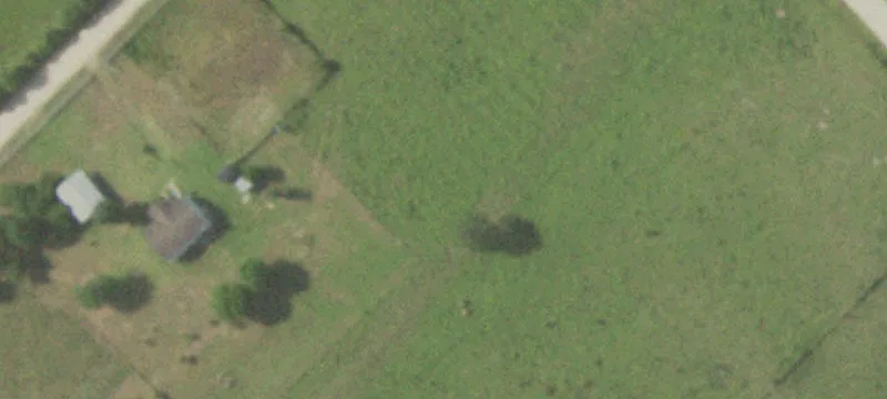 Austin County Acreage with Mobile