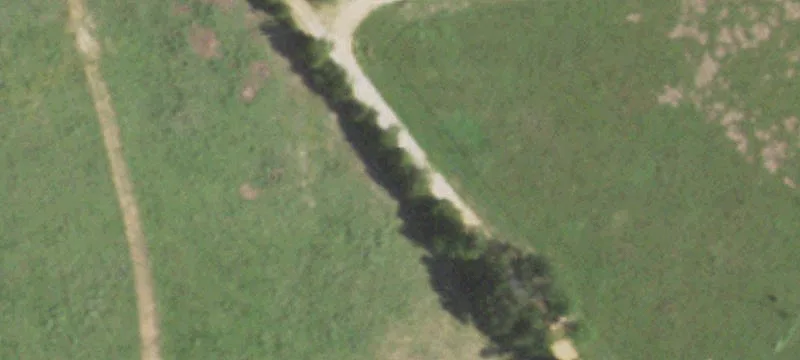 33+ Acre Country Homesite