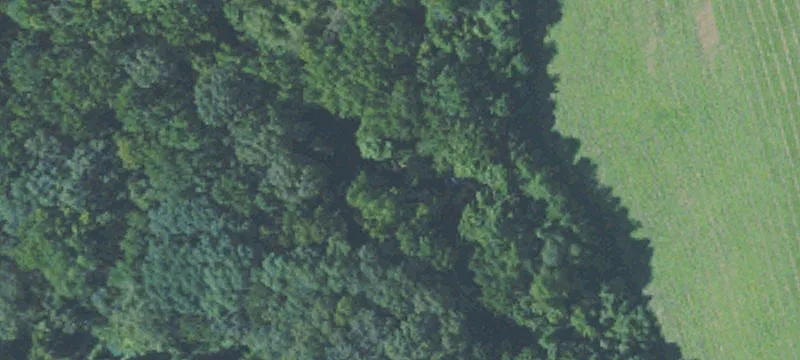 9.02 Acres on Goodman Road