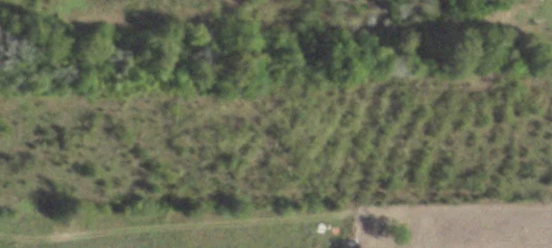 Montgomery Ranch with Workshop and Barn