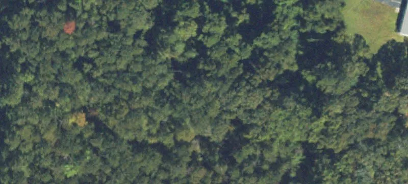 8.77 Acres Potential Commercial Land