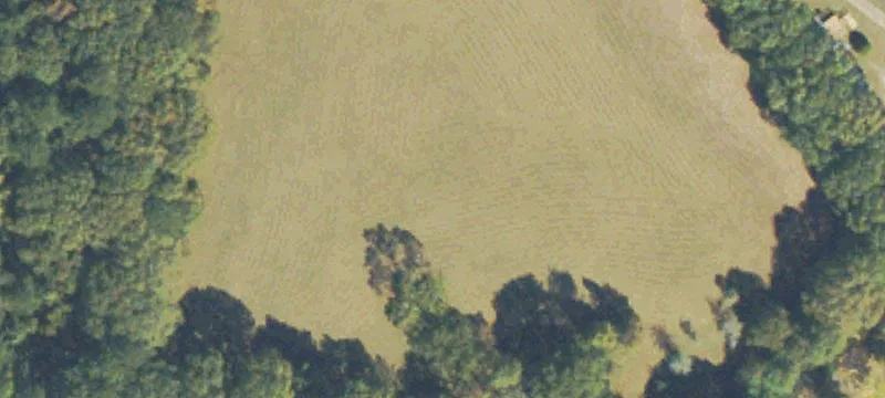 Commercial Land in Loganville
