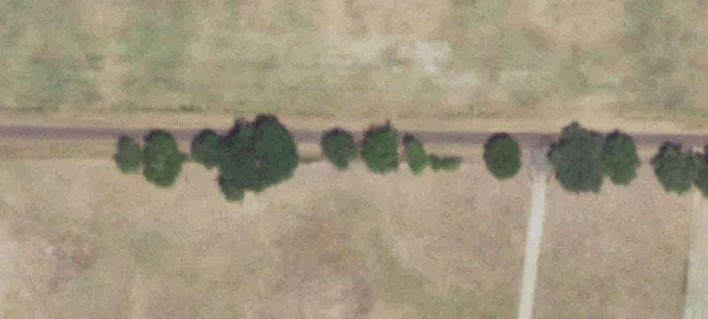 East Texas Pasture Land