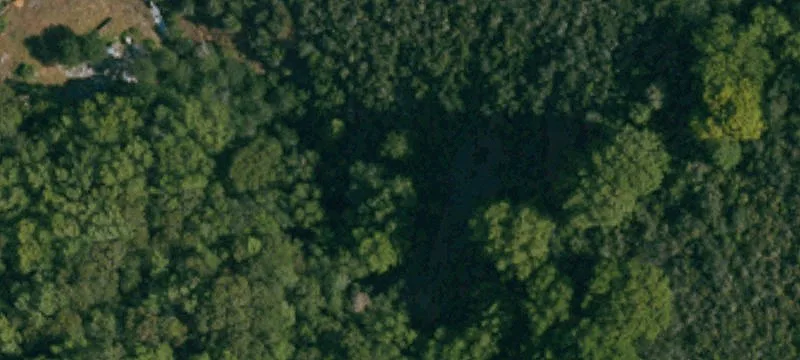 Serene 22+ Acre Parcel