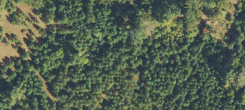 27 Acres with Income Potential
