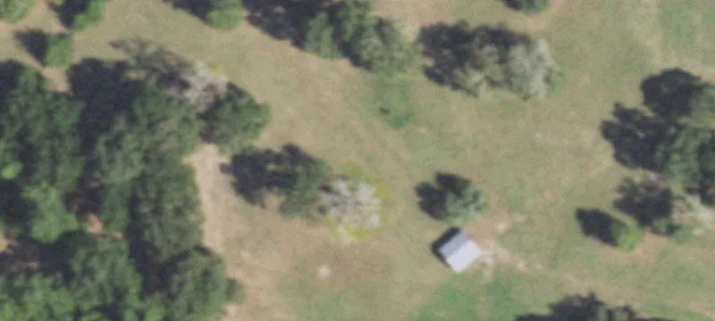 Country Acreage Near Huntsville, TX
