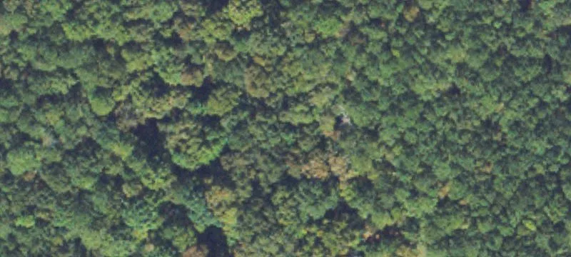Land in Almon Overlay District