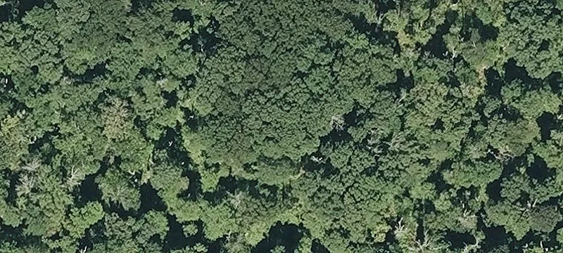 Commercial Land For Sale