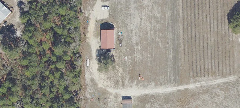 Blueberry Farm on 10 Acres