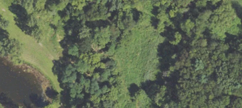 40 Acres with Pole Barn
