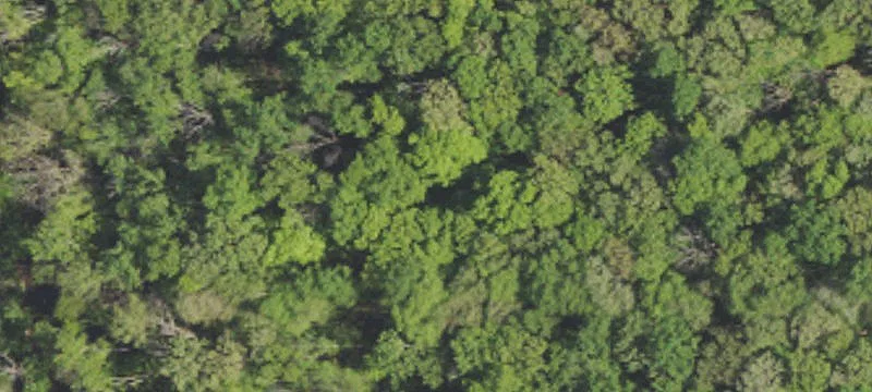 Industrial Land For Sale
