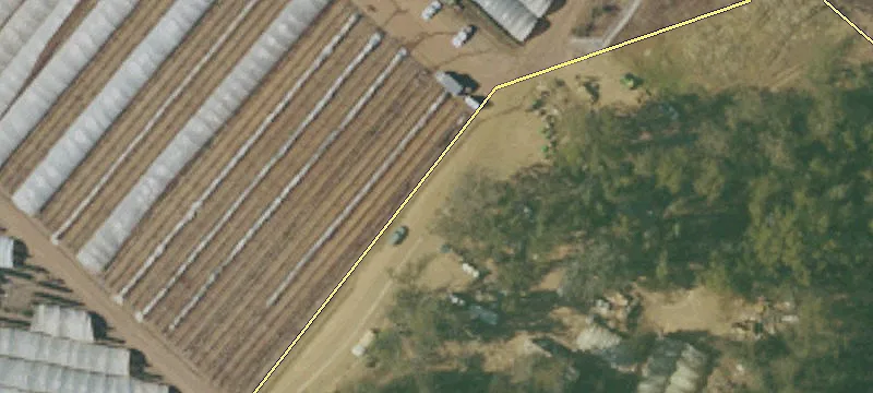 262 Acre Salinas Valley Ranch