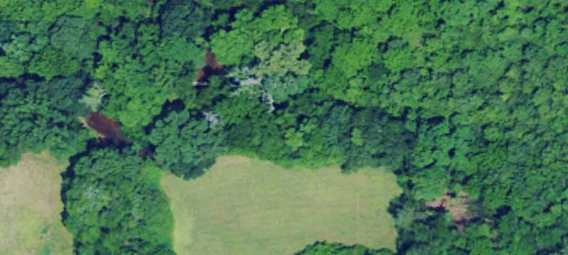 Cox Creek Parkway Land Parcel
