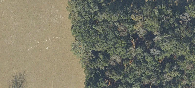 81.4 Acres of Farmland