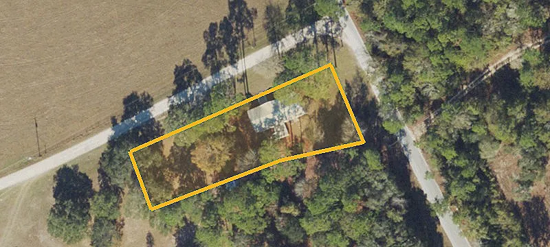 Wooded Lot in Taylor County