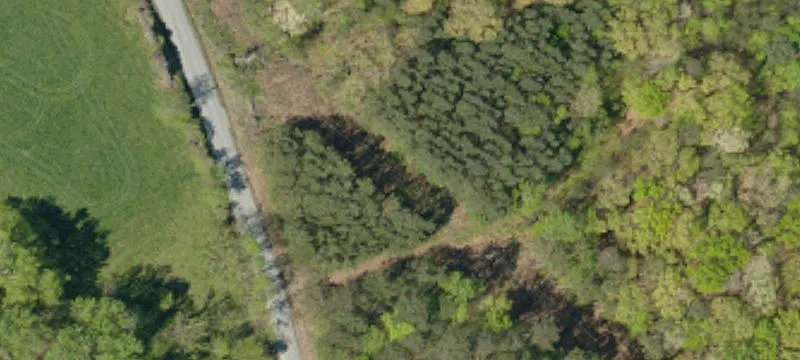 23.95 Acres on Mill Creek