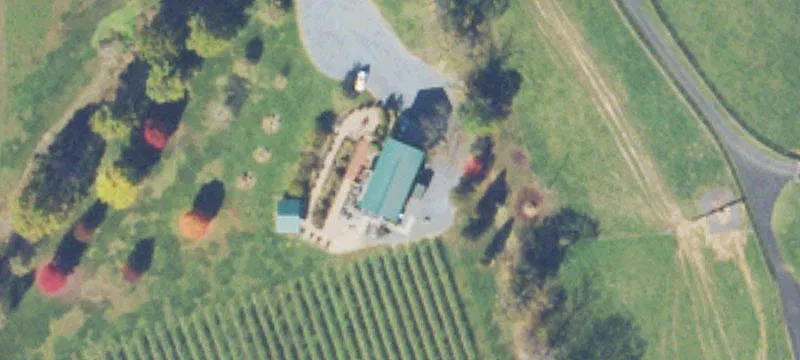 Shenandoah Valley Vineyard & Venue