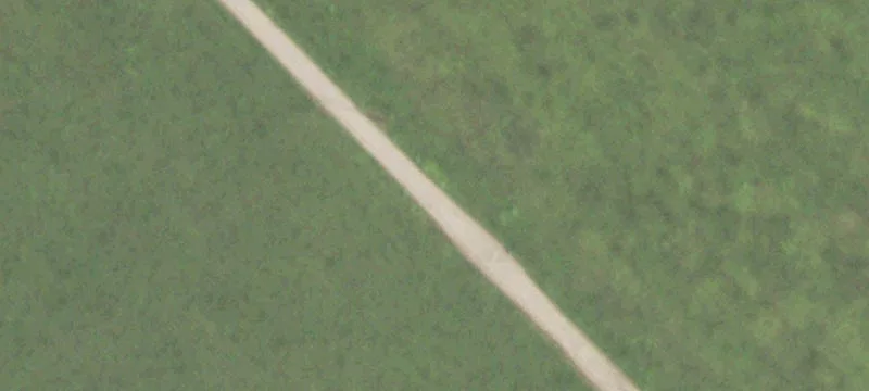 Prime Rosenberg Land Opportunity
