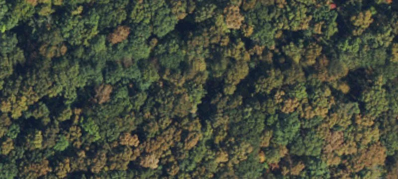 Spacious Land Parcel Opportunity