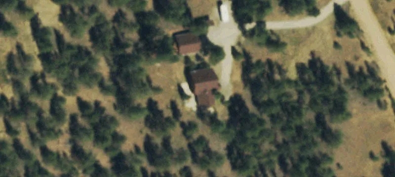 Land with Ponderosa Pine Trees