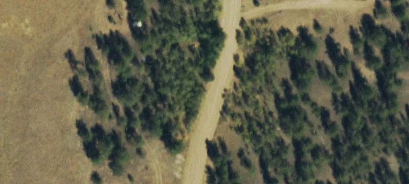 Residential Lot with Trees
