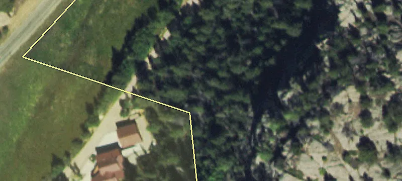 Land Bordering National Forest